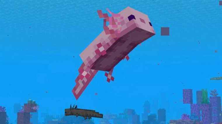 La mise à jour 1.17 de Minecraft lance des axolotls et des chèvres et plus la semaine prochaine

