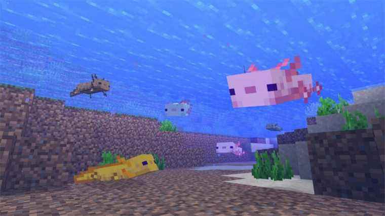 La mise à jour Caves & Cliffs de Minecraft est sortie, ajoutant des axolotls, des chèvres et 91 nouveaux blocs

