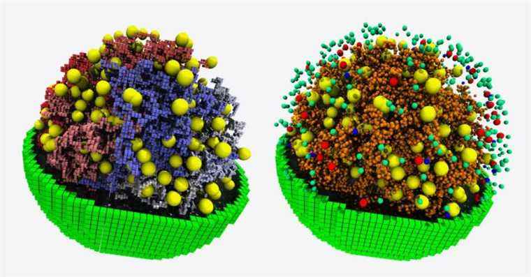 La simulation la plus complète d’une cellule sonde les règles cachées de la vie