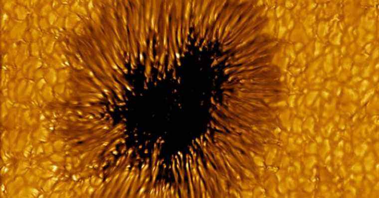 La tache solaire ressemble à une gueule béante et pleine de dents dans l’image du télescope solaire sauvage