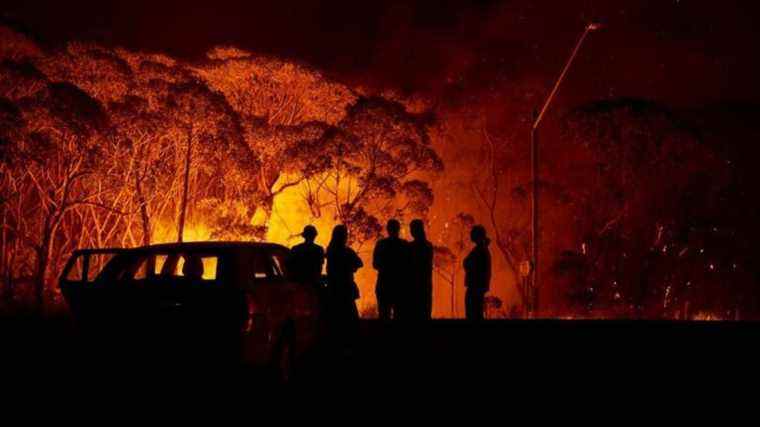 Le ministre australien de l’environnement n’a pas à se soucier des enfants, selon les règles du tribunal