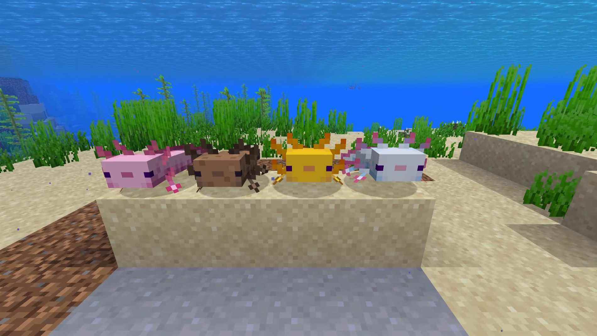 Le mod Minecraft transforme les axolotls en explosifs yeetables
