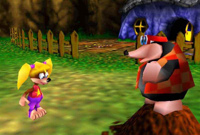 Bouteilles sur son monticule de taupes à Banjo-Kazooie