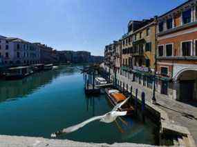 Une mouette décolle du pont du Rialto sur le Grand Canal à Venise le 18 mars 2020.