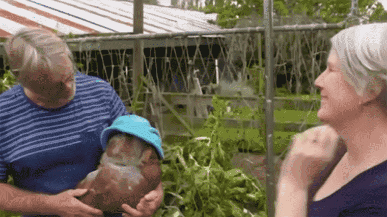 Malheureusement, cette énorme pomme de terre nommée Doug n’est pas vraiment une pomme de terre après tout