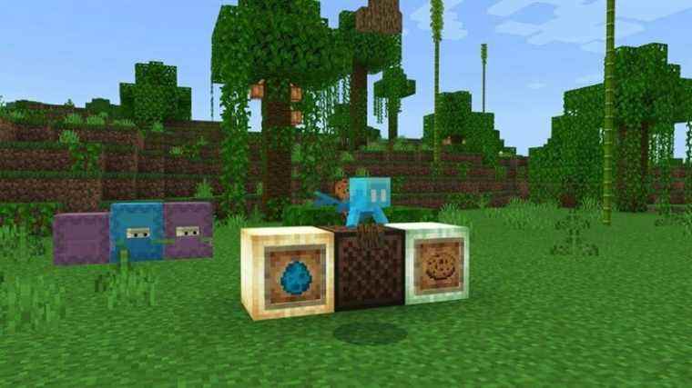 Minecraft: Bedrock Edition Beta 1.18.30.22 teste la foule d’allay de ‘The Wild Update’