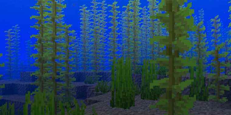 minecraft undersea kelp