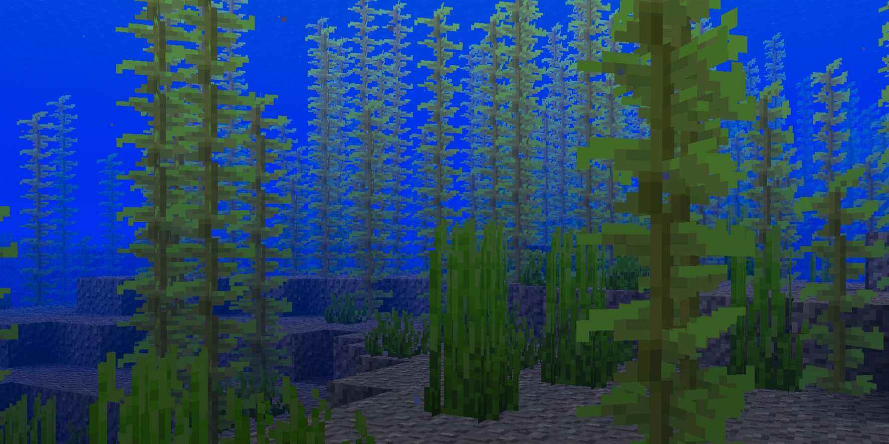 minecraft undersea kelp