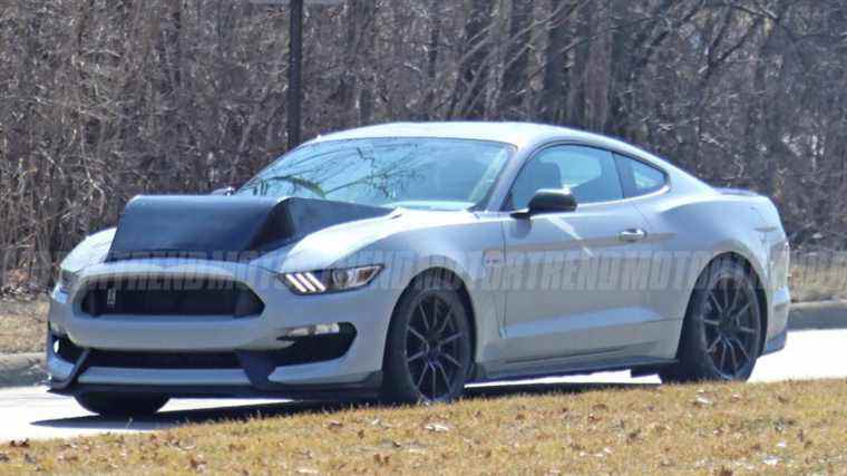 Mutant Mustang Mule terrorise le Michigan avec une trompe saillante