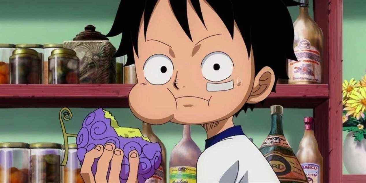 Luffy et le fruit du diable dans One Piece