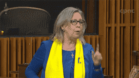 L'ancienne chef du Parti vert Elizabeth May a eu quelques réflexions après le discours de Zelenskyy.  Elle a dit que le Canada devrait « inventer quelque chose » pour arrêter la guerre.