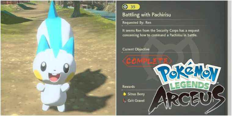 pokemon legends arceus pachirisu