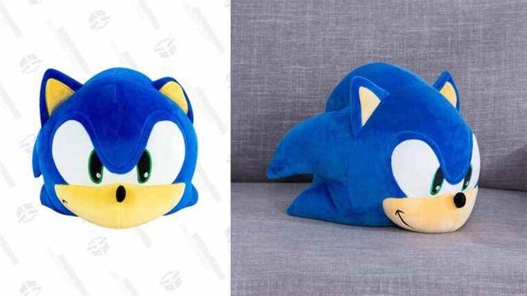 Posséder la tête coupée de Sonic pour 33 $