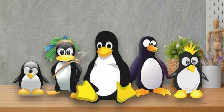 Pourquoi Linux a-t-il autant de distributions ?  Distributions Linux expliquées