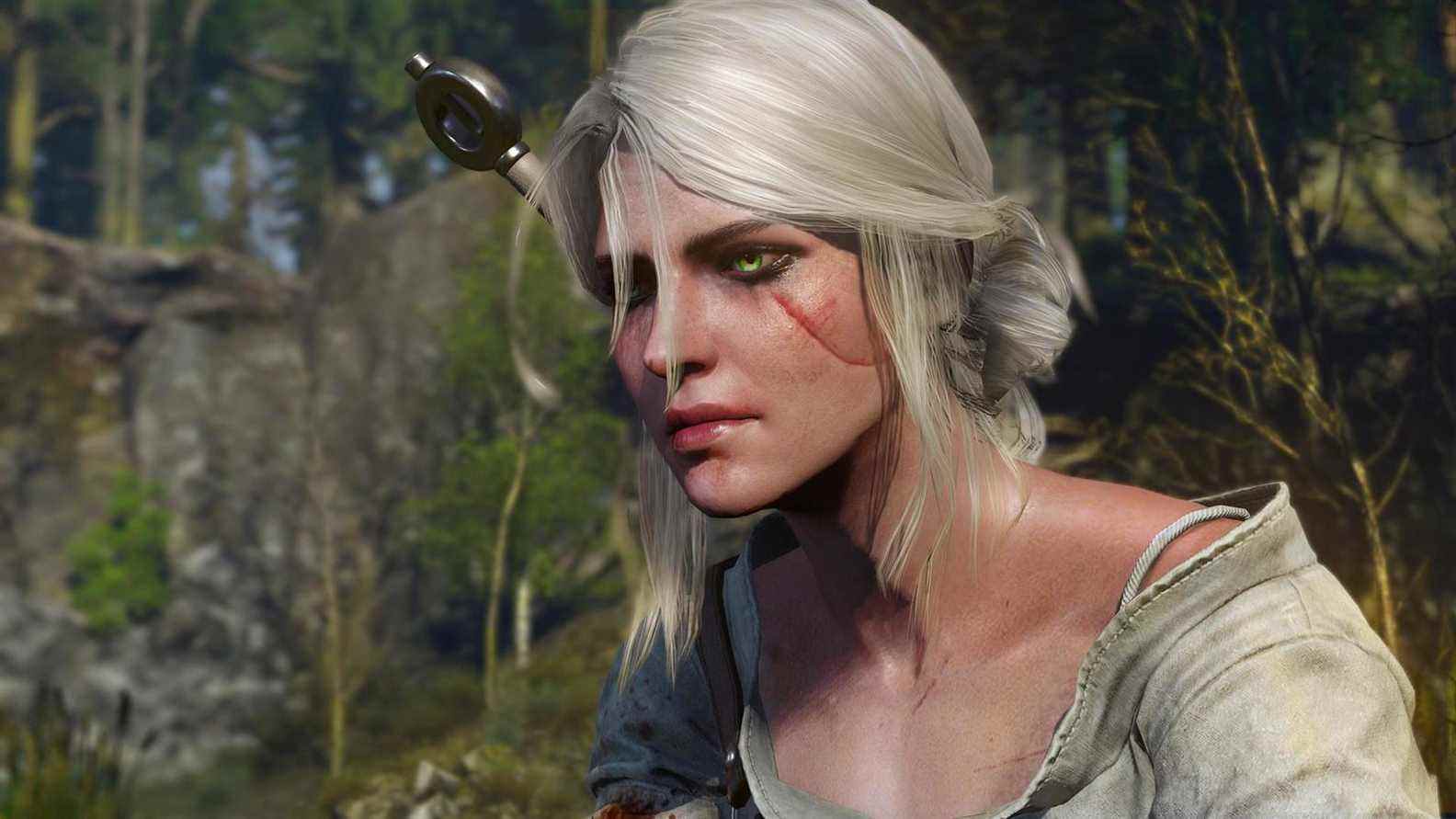 Que voulez-vous du prochain jeu Witcher ?

