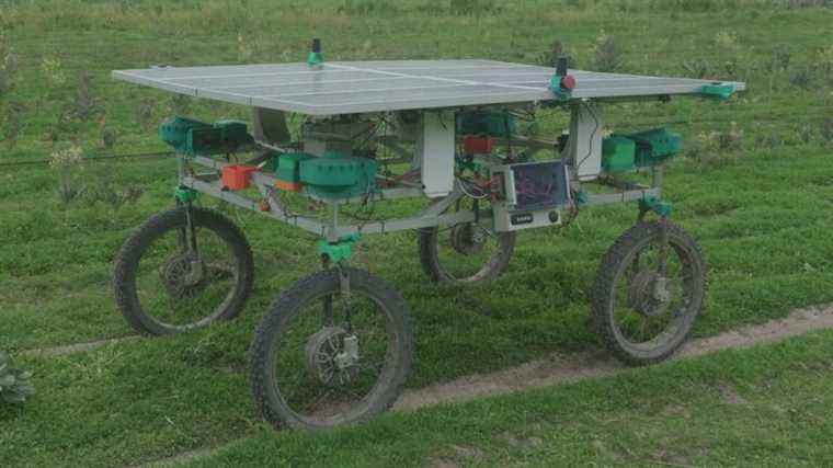 Raspberry Pi automatise l’agriculture durable