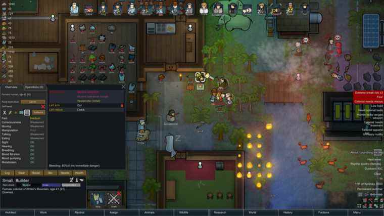 RimWorld retiré de la vente sur Steam en Australie, comme un affront à la moralité publique, à la décence et à la bienséance

