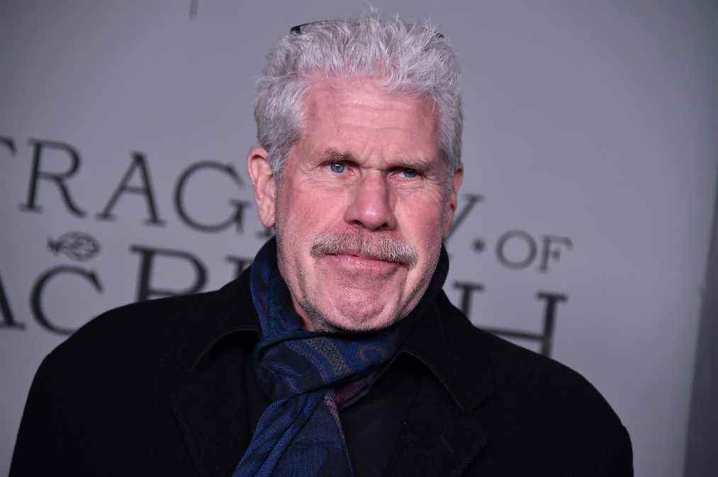 Ron Perlman qualifie le gouverneur de Floride de « cochon nazi » pour avoir signé le projet de loi « Don't Say Gay » : « You Piece of S— » Le plus populaire doit être lu
	
	
