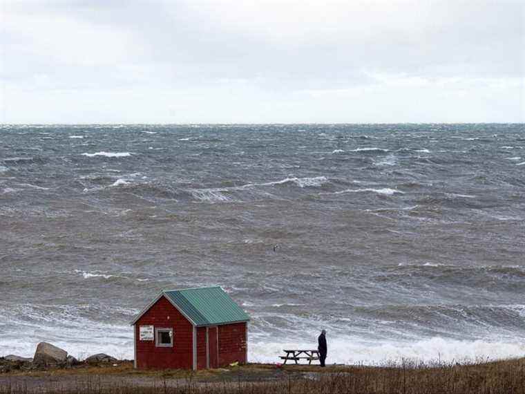 Une tempête de vent coupe l’électricité à des milliers de personnes en Nouvelle-Écosse