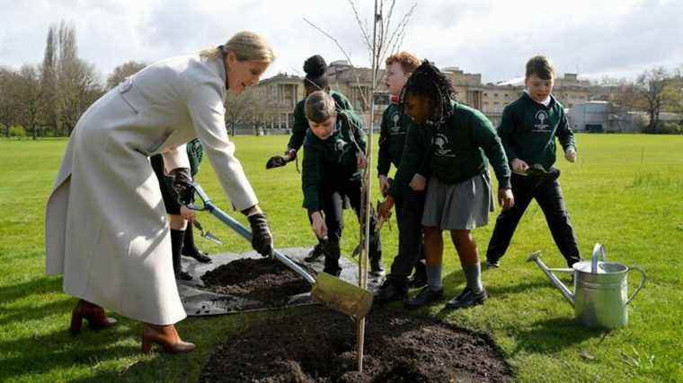 La reine « profondément touchée » après la plantation de plus d’un million d’arbres du Jubilé