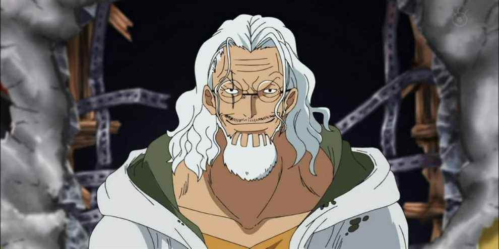 One Piece Silvers Rayleigh Kenbunshoku Haki