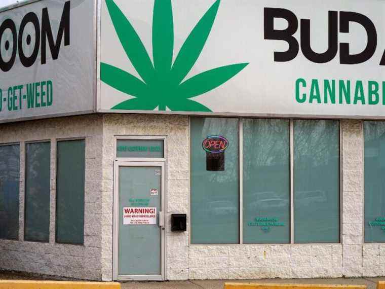 L’augmentation des vols dans les magasins de cannabis en Alberta amène le défenseur de l’industrie à demander de nouvelles règles