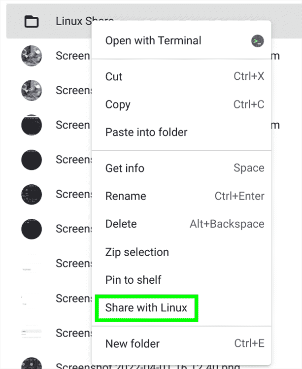 Exécutez Linux sur Chromebook