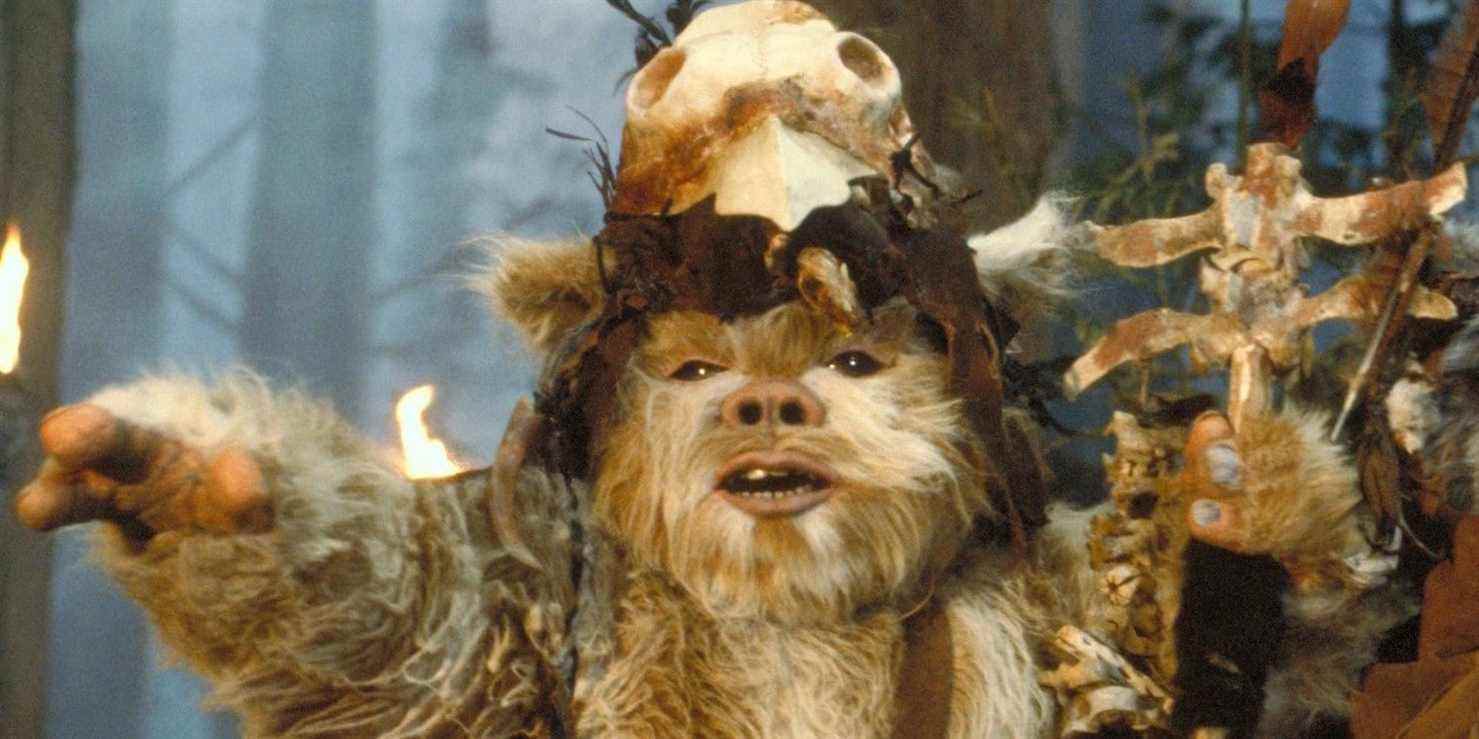 Star Wars Le Retour du Jedi Logray Ewok