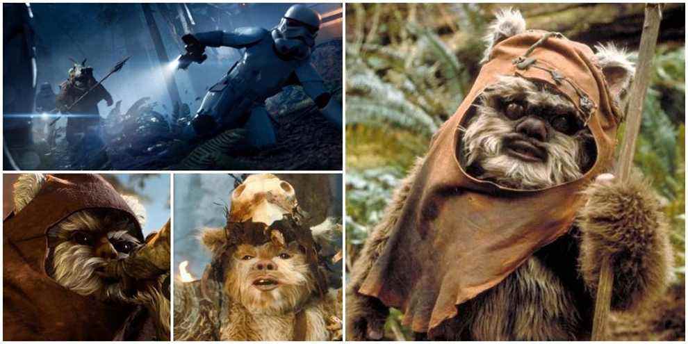 Star Wars Things You Didnt Know About ewoks feature image