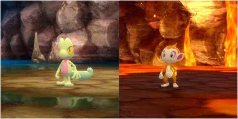 Pokemon Brilliant Diamond And Shining Pearl Treecko And Chimchar In The Grand Underground