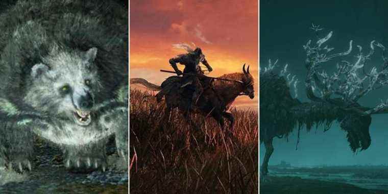 Elden Ring Mounts Torrent and Bosses Runebear and Ancestral Spirit