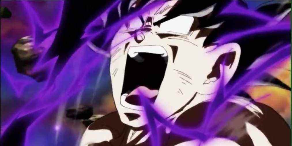 l'ultra instinct maîtrisé assomme goku