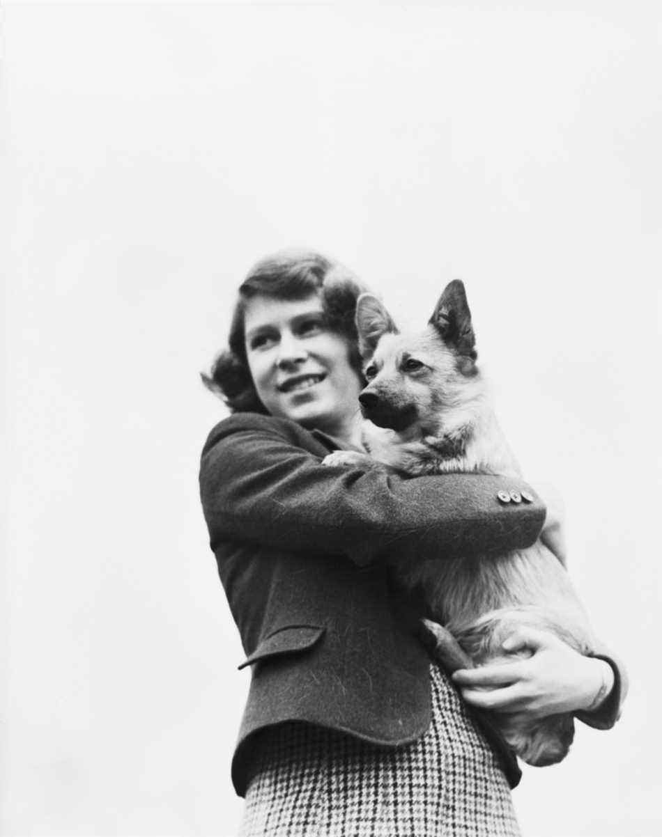 Une jeune princesse Elizabeth tenant un corgi au Royal Lodge, Windsor, avril 1940. (Getty Images)