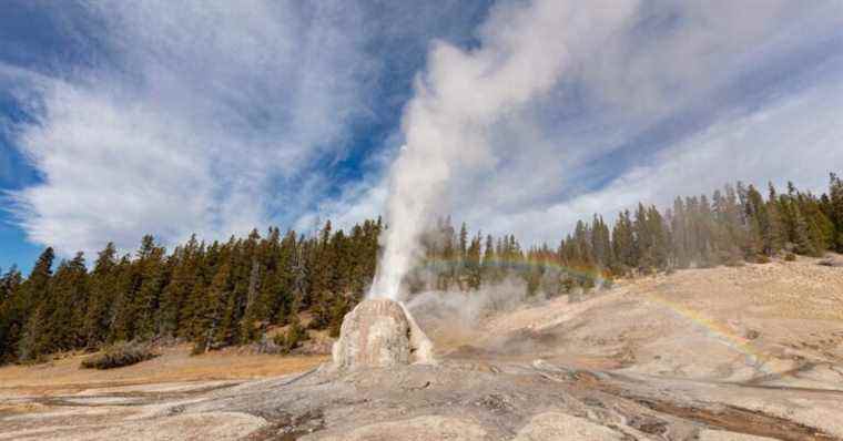 Achetez un laissez-passer annuel de 1 500 $ pour le parc Yellowstone valable pour l’année 2172