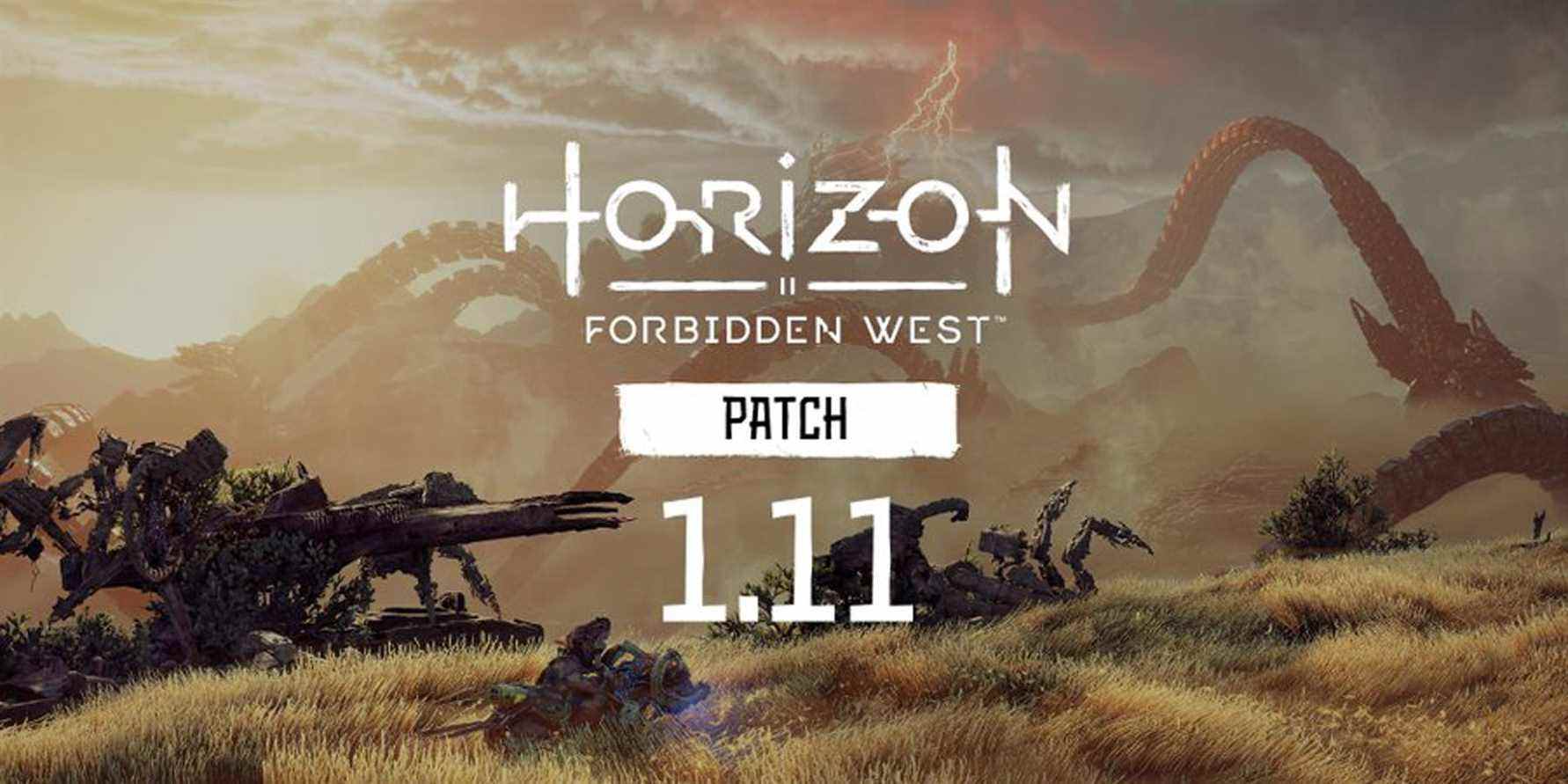 Horizon Forbidden West Patch 1.11 artwork