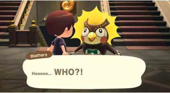 Blathers waking up.