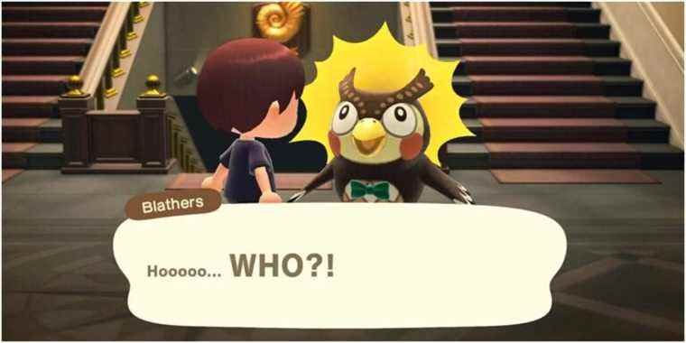 Blathers waking up.