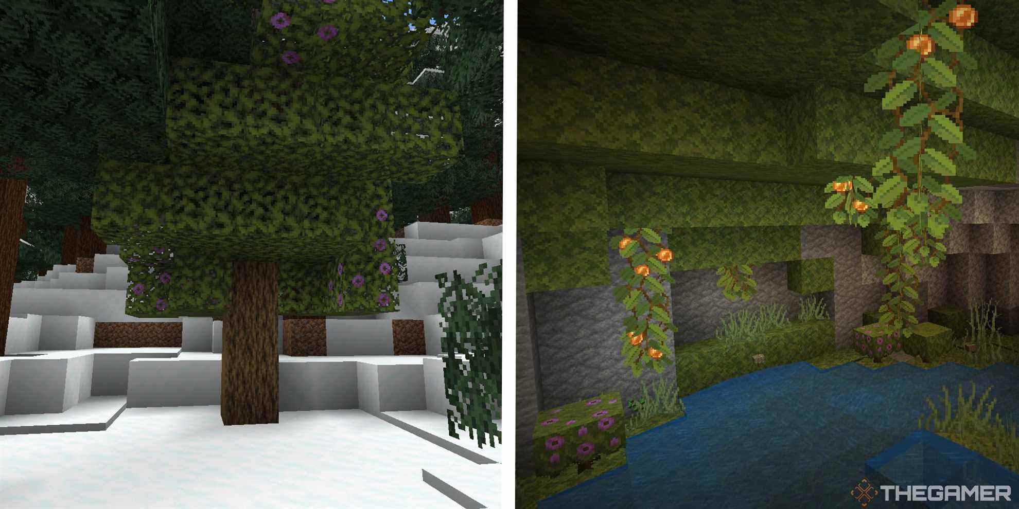 image of azalea tree in snow next to image of lush cave biome