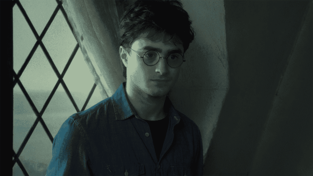 Daniel Radcliffe dans Harry Potter et les Reliques de la Mort