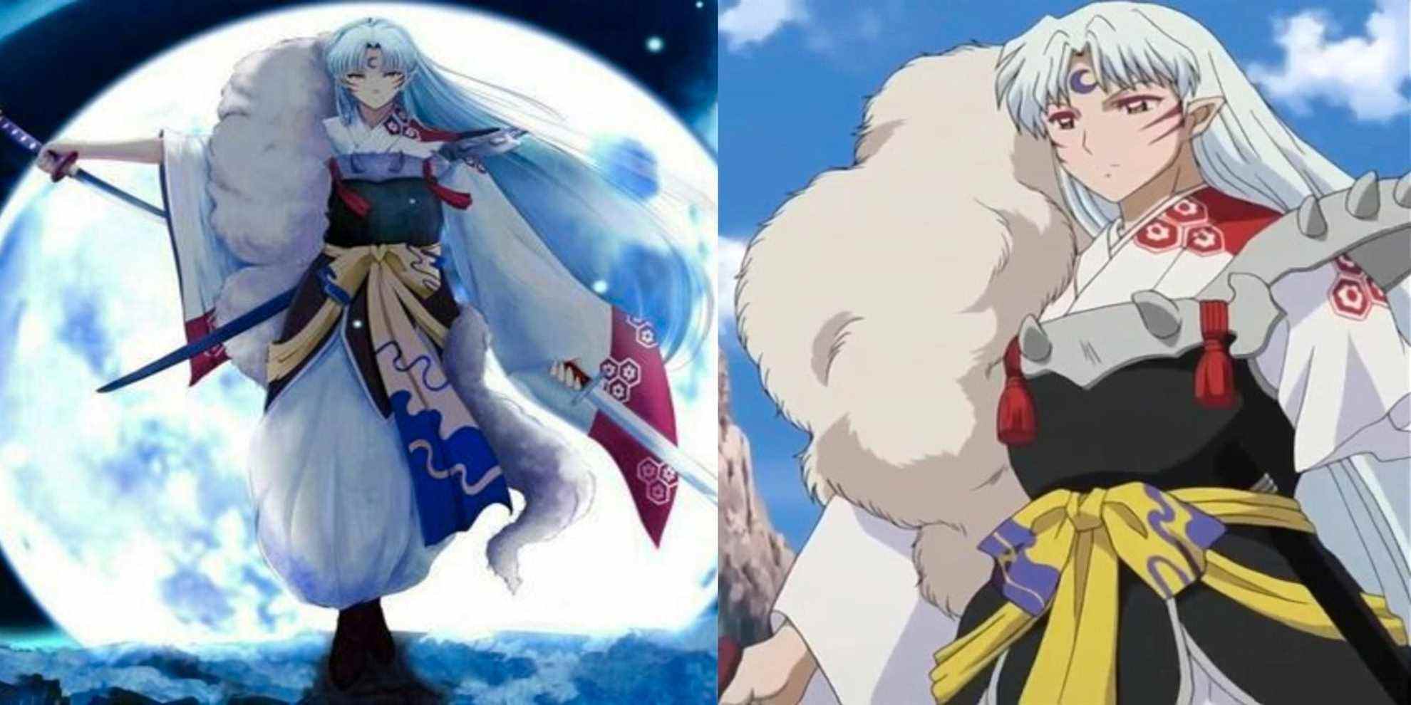 Image fractionnée de Sesshomaru, Inuyasha