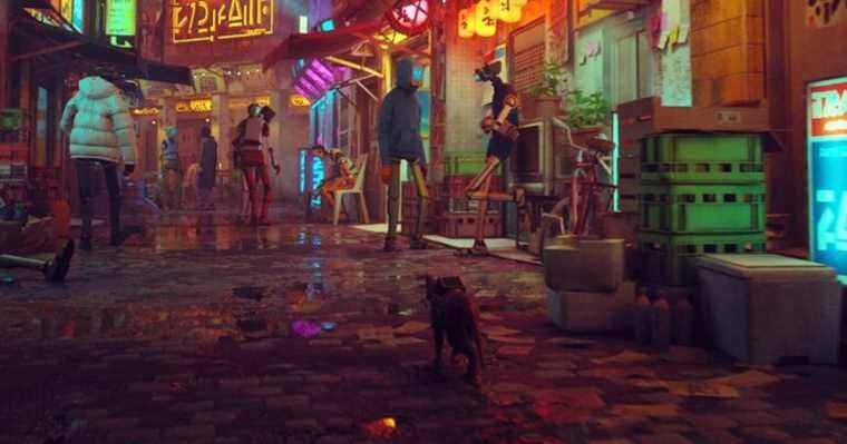 Stray obtient une note en Corée, la date de lancement pourrait être à venir
