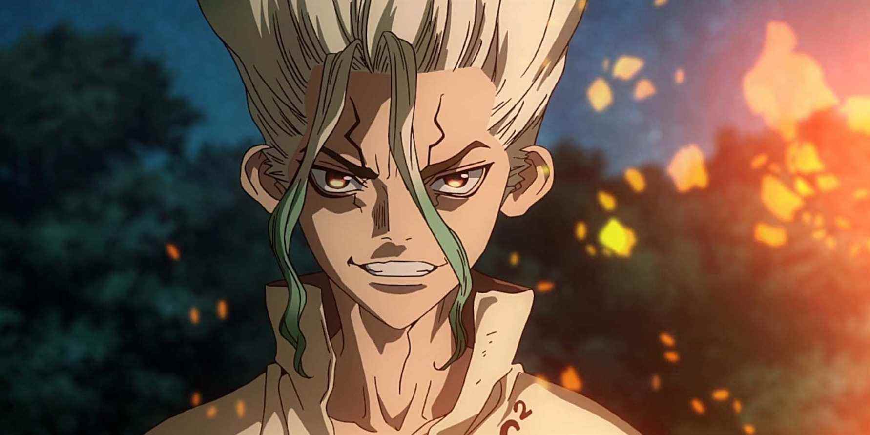 Dr Stone anime Senku