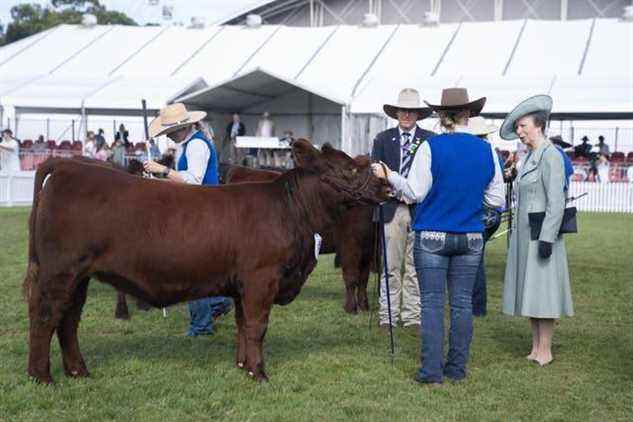 La princesse royale s'adresse aux exposants du Sydney Royal Cattle Show lors d'une visite pour ouvrir le Royal Agricultural Society of New South Wales Bicentennial Sydney Royal Easter Show à Sydney, au cours de la première journée du voyage royal en Australie au nom de la reine, en célébration du Jubilé de Platine 