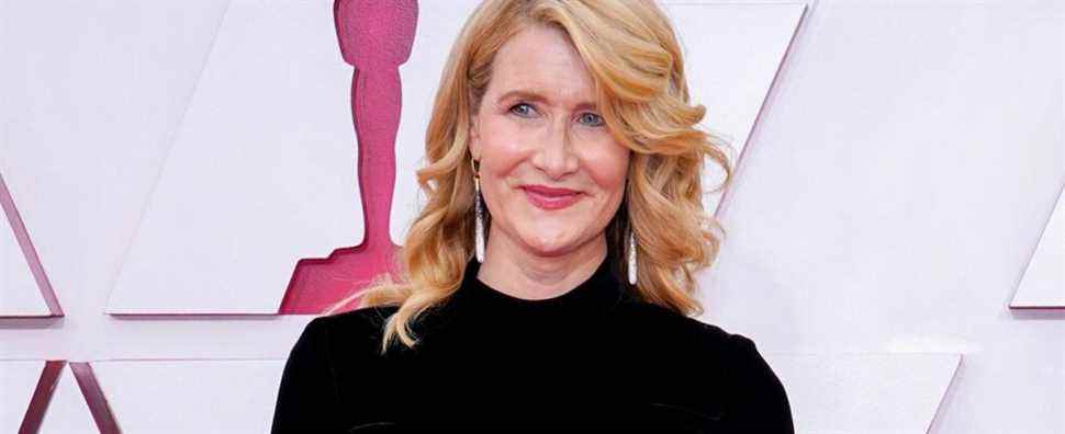 La star de Jurassic Park, Laura Dern, rejoint le film d'amour de Netflix