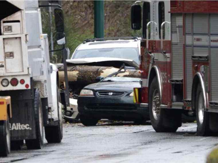 Un mort après la chute d’un arbre sur une voiture en marche à Vancouver