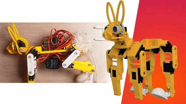 Raspberry Pi Robot Rabbit Hops avec Pimoroni Servo 2040