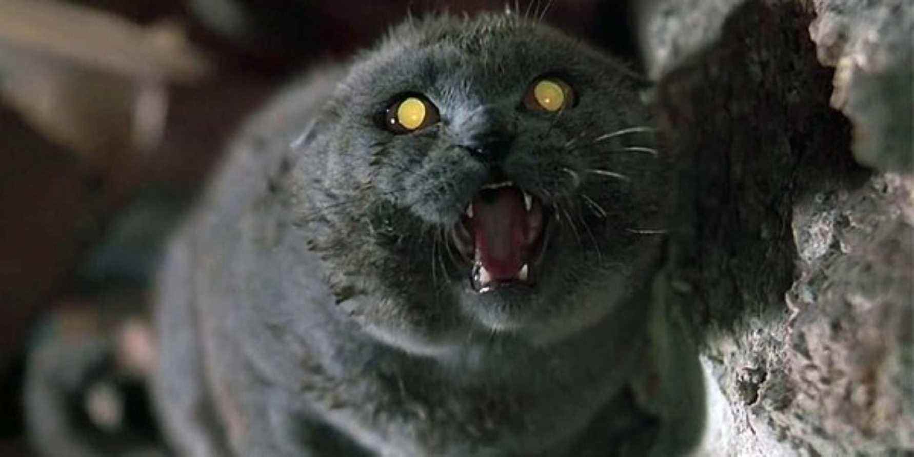 L'église des chats dans Pet Sematary (1989)