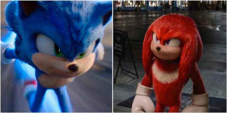 Sonic and Knuckles in Sonic the Hedgehog 2