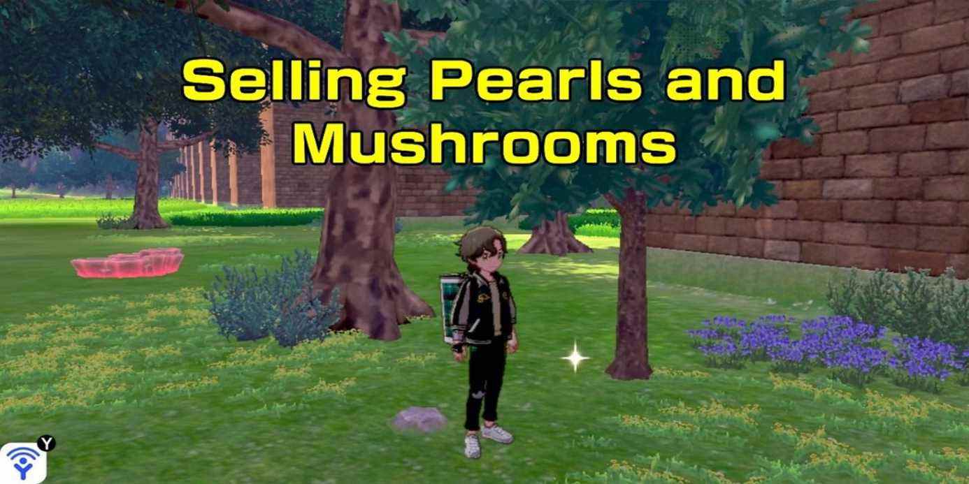 Où vendre des perles et des champignons dans Pokemon Sword and Shield
