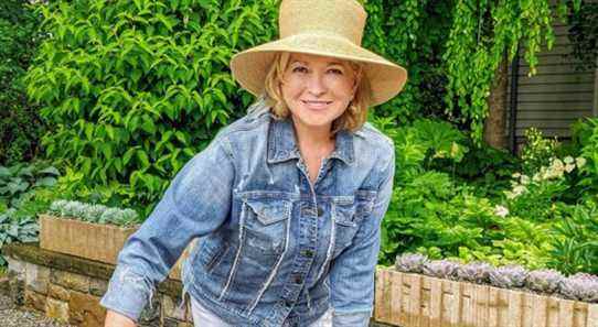 Martha Stewart vend tout son osier